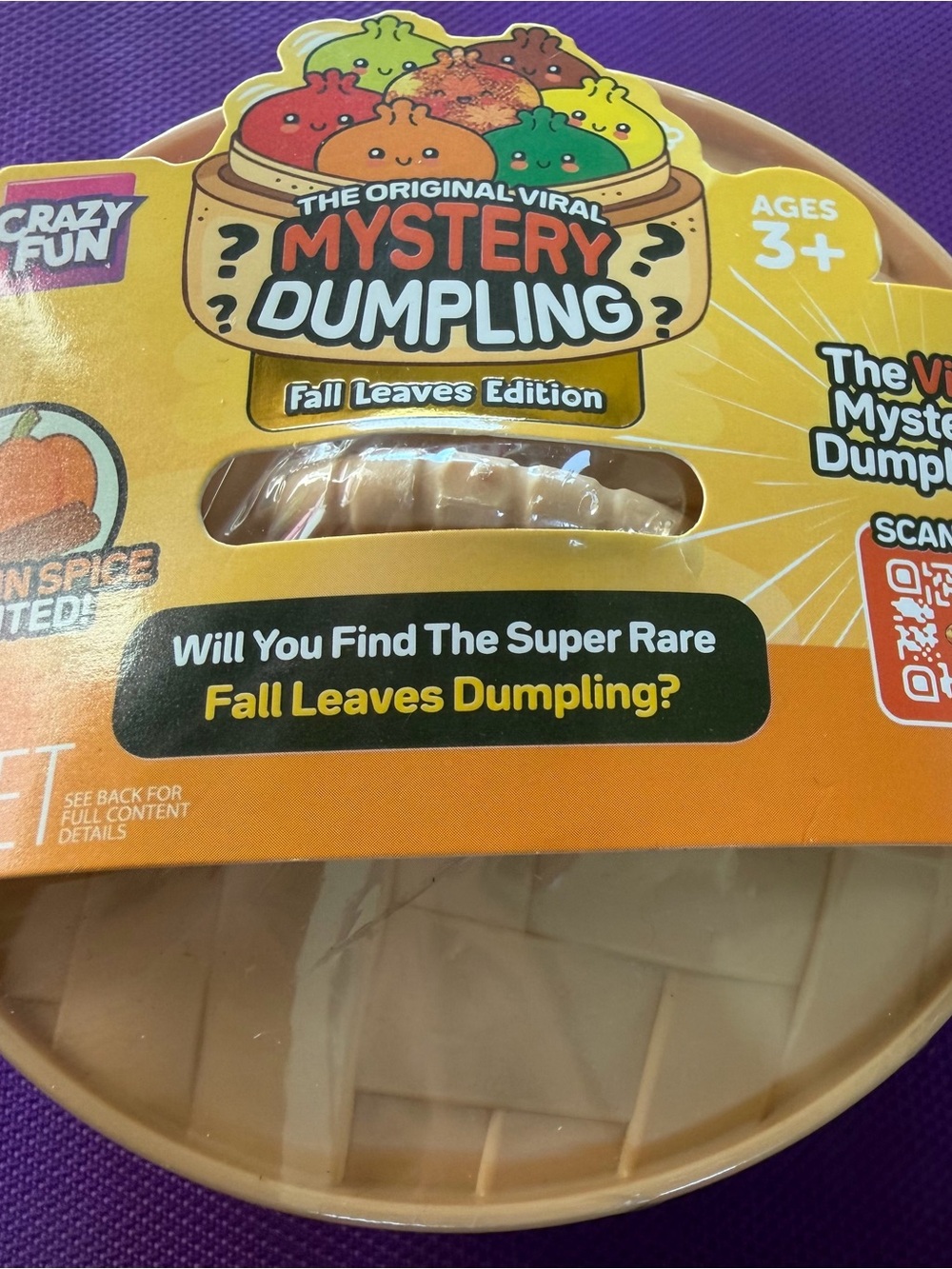 Fall pumpkin spice rms dumpling